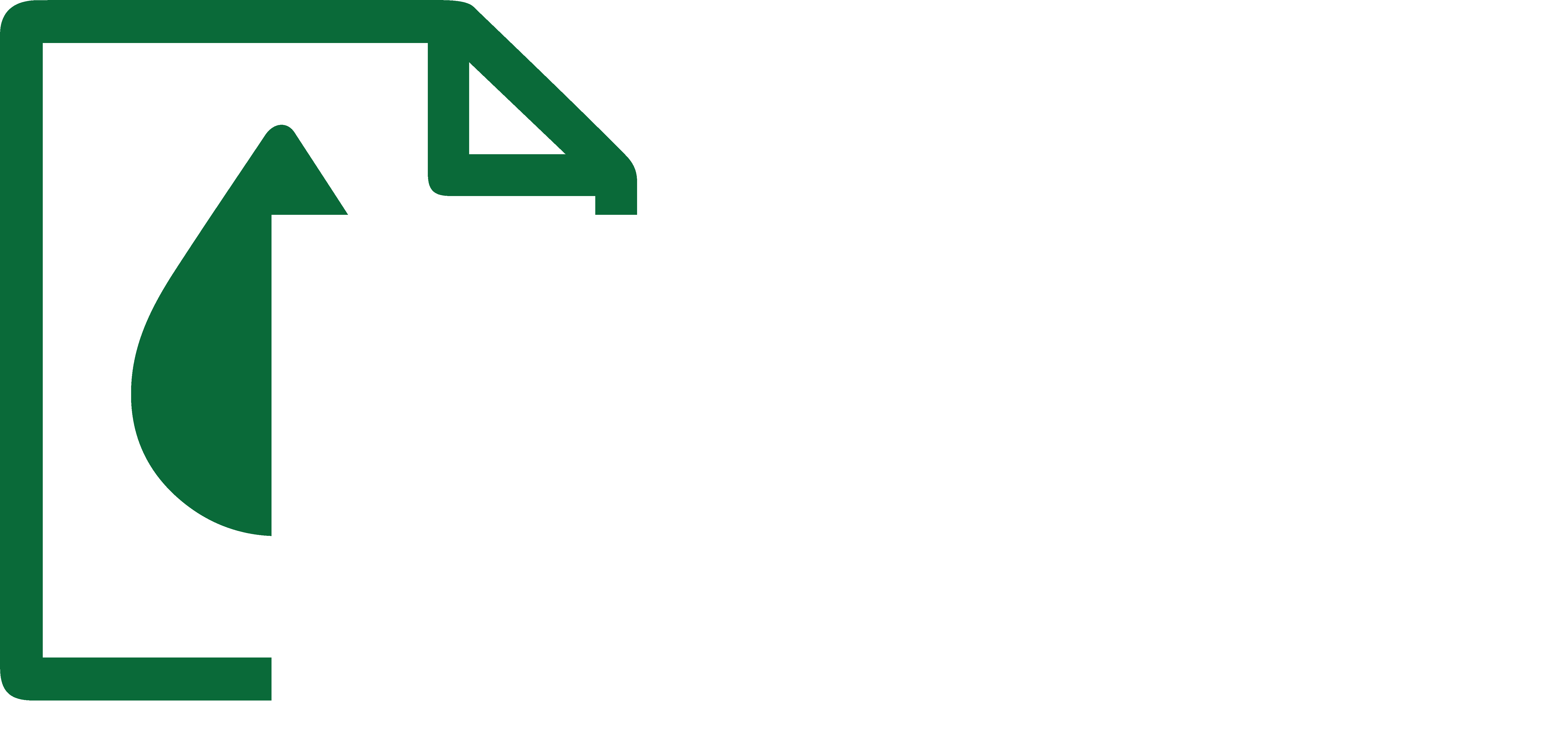 DTFS Footer Logo